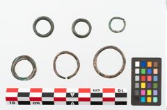 Foto von Bronzering (NHMW-PRAE-002279)